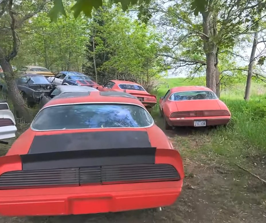 Where Did All the Trans Ams Go? Inside a 50+ Car Pontiac Hoard