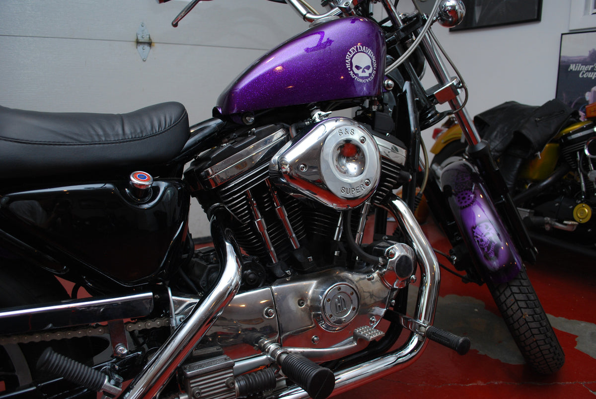 Harley Davidson 1100 Sportster