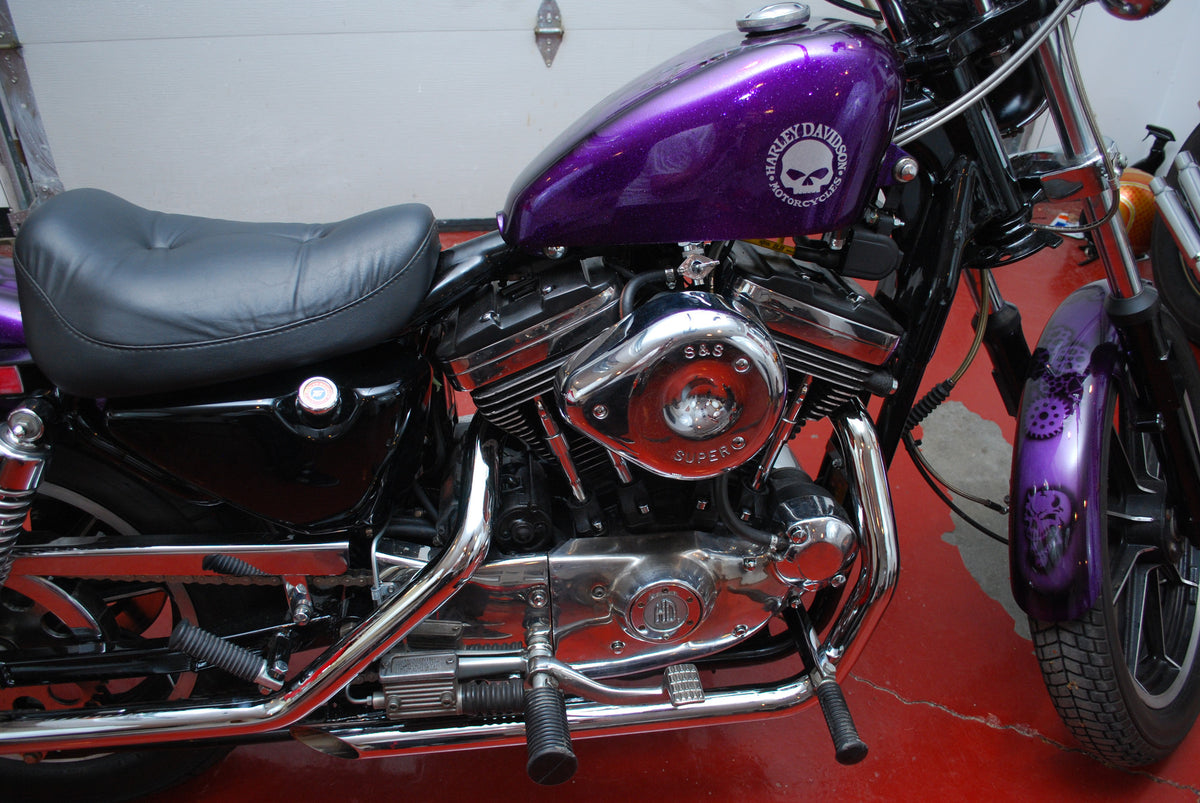 Harley Davidson 1100 Sportster