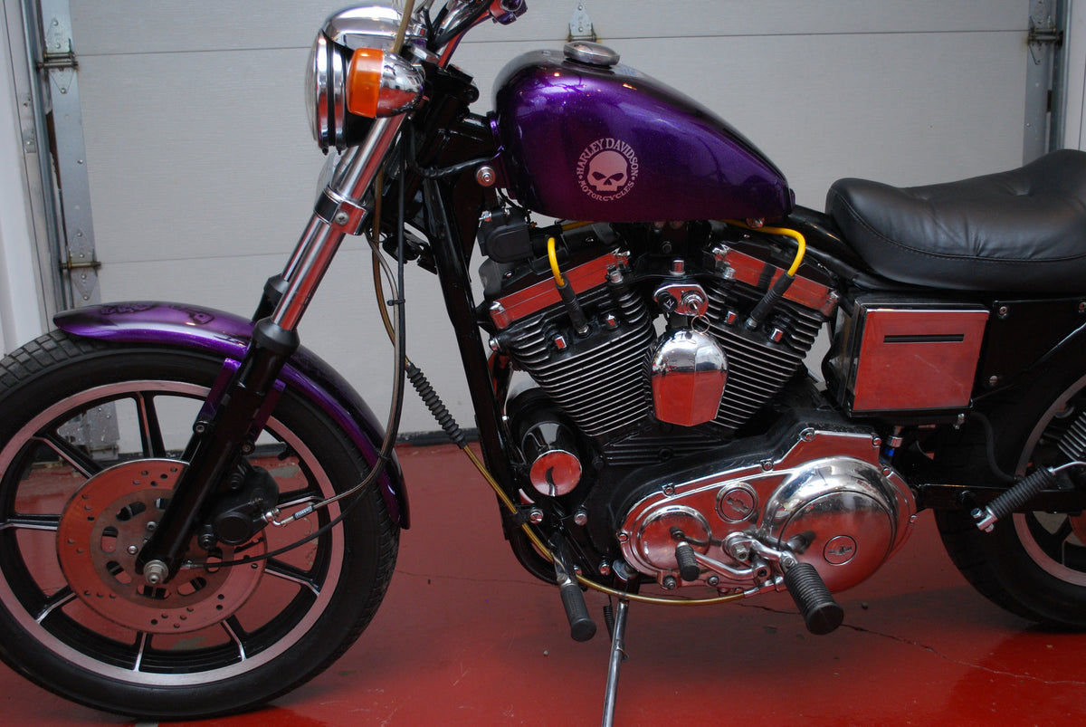 Harley Davidson 1100 Sportster