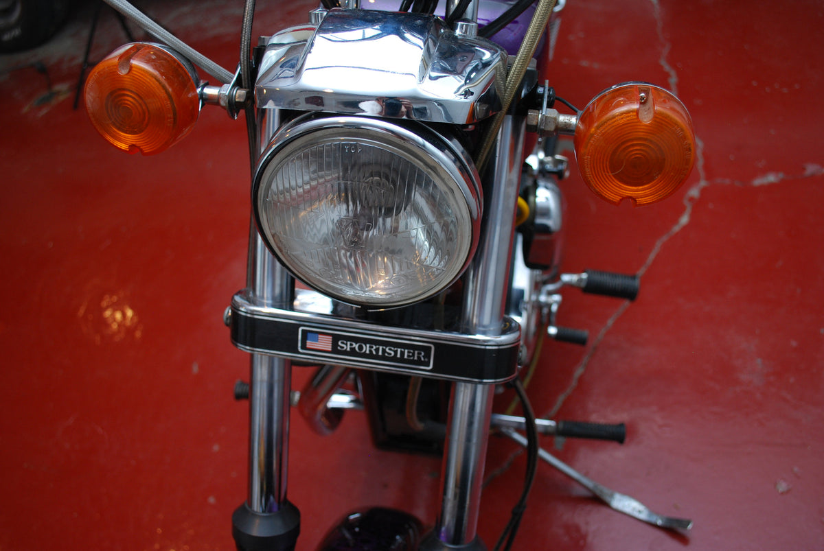 Harley Davidson 1100 Sportster