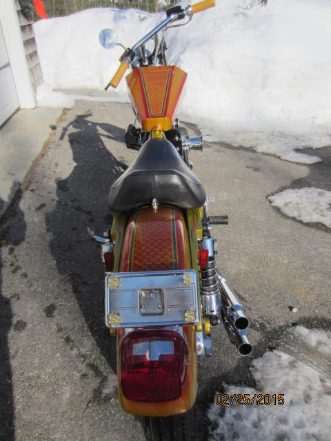 Harley Davidson Custom Sportster Digger Style Chopper Custom Painted Show Bike